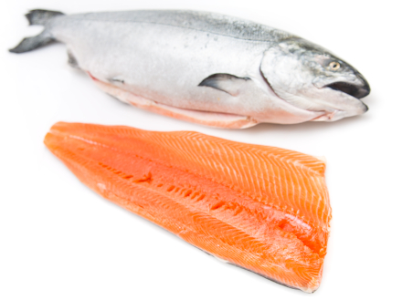 British Columbia Salmon