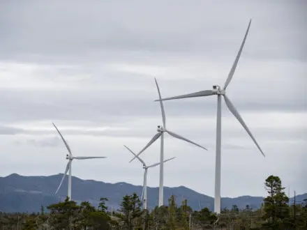 Clean Tech - Wind Farm in Cape Scott