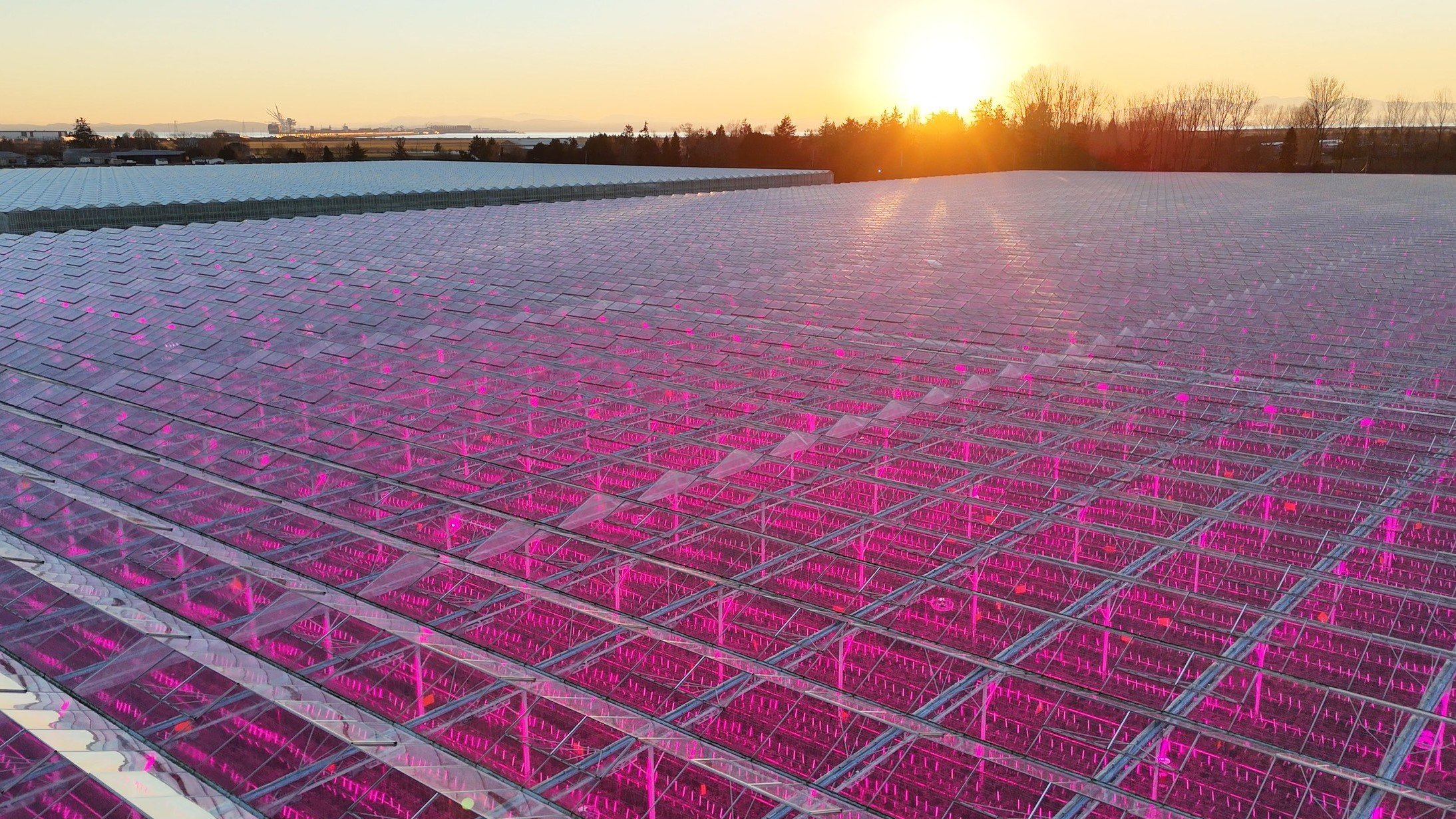 Windset Farms Smart farming