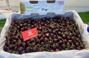 Cerezas BC en una caja abierta con una tarjeta de presentación roja de Homefarm en su interior.