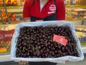 Eine Nahaufnahme eines Homefarm-Angestellten, der eine große Kiste mit Kirschen im Supermarkt hält.