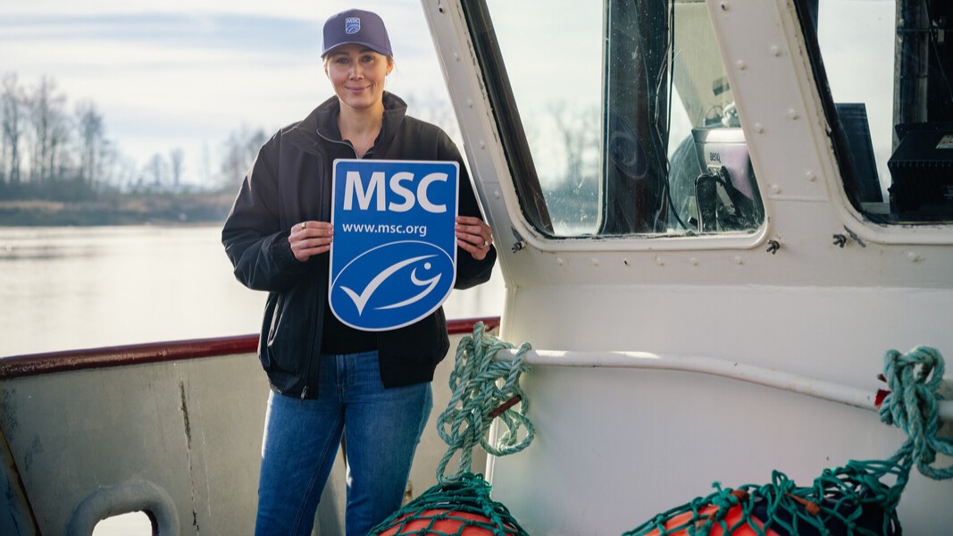 The Marine Stewardship Council certifcation covers 16 species in British Columbia's groundfish trawl fishery.