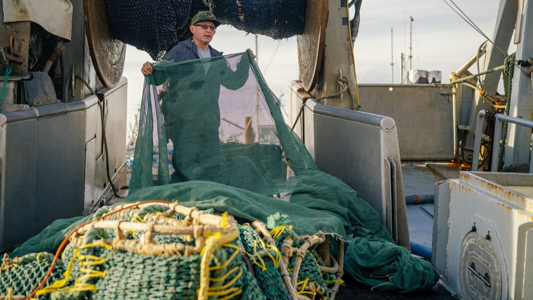 Fisherman holding a new on a fishing boat in B.C.