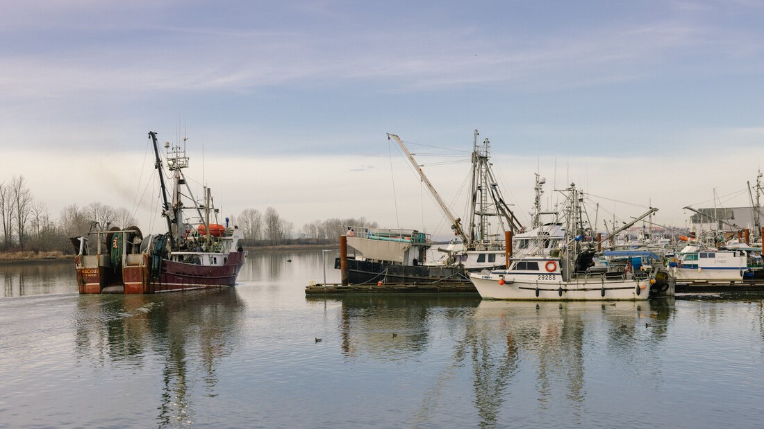 British Columbia fishing vessels on the water.