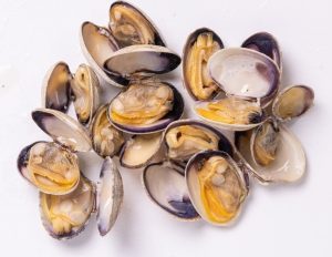 B.C. Manila Clams closeup
