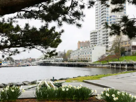 Nanaimo, BC - Downtown