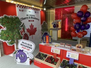 Fruit display of the pop-up showing the Canadian flag, blueberries, and cherries in fruit boxes with red and blue balloons matching the red and blue décor. 