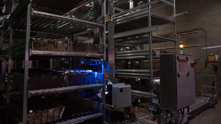 4AG Robotics: A Sustainable Solution for Farms Worldwide