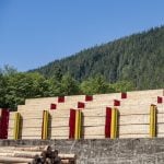 Prince Rupert Forestry, Mass Timber