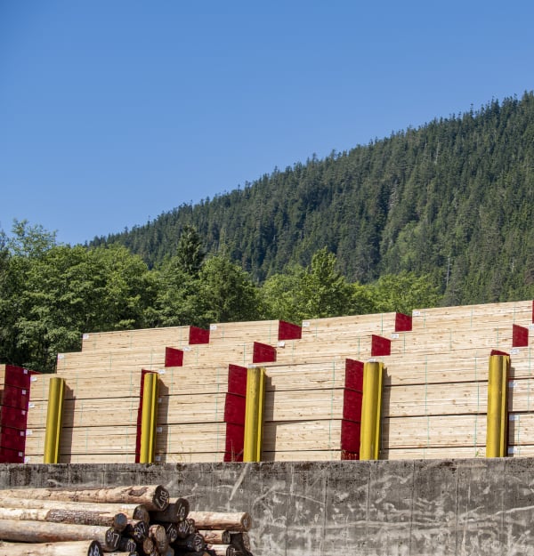 Prince Rupert Forestry, Mass Timber