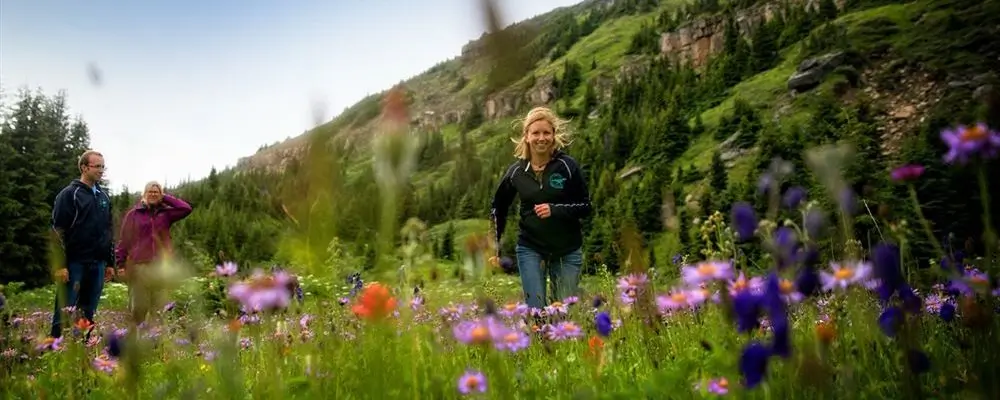 Tumbler Ridge Wiese