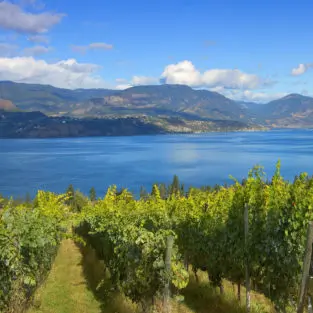 View of winery and lake