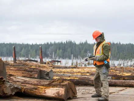 Forestry - Logging Employee