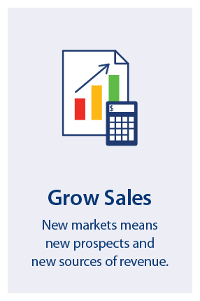 Why Export - Grow Sales