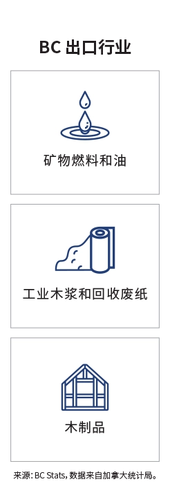 关键市场登陆页面信息图 - 越南