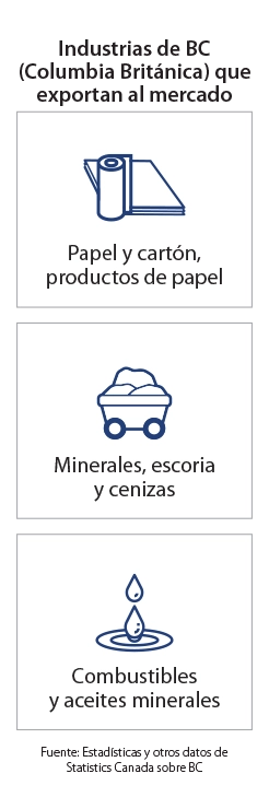 Infografía de Páginas de Destino de Mercado Clave - México