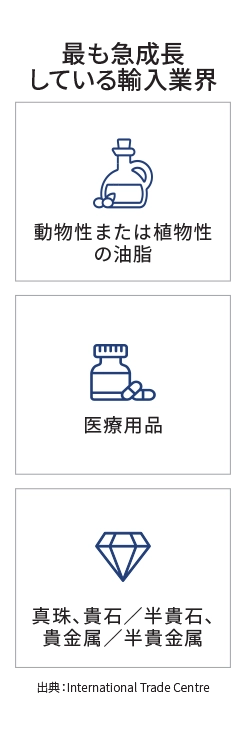 主要市場ランディングページのインフォグラフィック - シンガポール